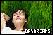 Daydreams/Daydreaming